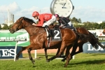 Gold Symphony Considered for Ramornie Handicap Gold Symphony Considered for Ramornie Handicap