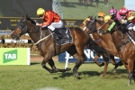 Ninth Legion chasing a hat trick in Winter Stakes Ninth Legion chasing a hat trick in Winter Stakes