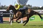 Gollan’s mares draw side by side in Tattersall’s Mile