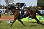 Tucanchoo early favourite for Tattersall’s Cup Tucanchoo early favourite for Tattersall’s Cup