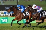 Wet track could see Haussmann miss Winter Stakes