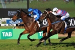 Winter Stakes For Haussmann After Civic Stakes Victory Winter Stakes For Haussmann After Civic Stakes Victory
