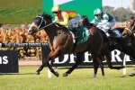 1400m to test Delectation in Hobartville Stakes