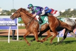 Master Harry could surprise in Starlight Stakes Master Harry could surprise in Starlight Stakes