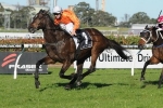 Mic Mac to miss Winter Stakes Mic Mac to miss Winter Stakes