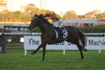 Bright Shadow Handicap A Winnable Race For Single Style Bright Shadow Handicap A Winnable Race For Single Style