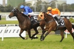 Rosehill Gardens Racing Preview – Saturday June 17th Rosehill Gardens Racing Preview – Saturday June 17th