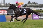 Shiraz At His Best For Aurie’s Star Handicap
