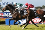 Cluster heads towards Epsom Handicap