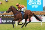 Liberation has fitness edge in Up And Coming Stakes Liberation has fitness edge in Up And Coming Stakes