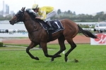 The Quarterback To Begin Australian Guineas Campaign