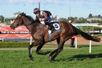Under The Sun To Defend Winter Stakes Title