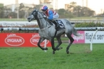 Zaratone To Set Quick Tempo In Starlight Stakes Zaratone To Set Quick Tempo In Starlight Stakes