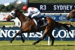 Wyong Cup an Option for Rowley Mile Winner Arbeitsam