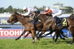 Campania chance of home town victory in Rowley Mile