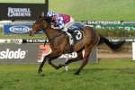 Fell Swoop secures good barrier in Victory Stakes