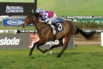 Fell Swoop On Trial For Concorde Stakes Fell Swoop On Trial For Concorde Stakes