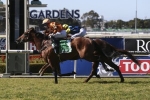 Press Report To Take Up Forward Position In Golden Rose Field