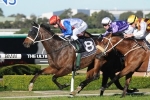 Full field to run in Villiers Stakes on Kensington Track