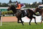 Baker Confident Windjammer Is A Winning Golden Rose Chance Baker Confident Windjammer Is A Winning Golden Rose Chance
