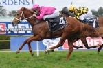 Magic Millions Sprint On The Agenda For King’s Troop