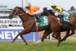 Entirely Platinum needs to win Turnbull Stakes for Caulfield Cup entry
