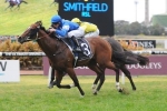 Nostradamus To Charge Home Late In Oakleigh Plate