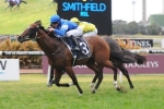 Golden Rose Or Danehill Stakes For Nostradamus