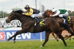Territory Storms Home For Impressive Win Territory Storms Home For Impressive Win
