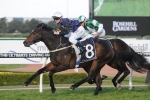 Cluster to set the pace in Forum Group Handicap