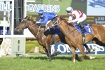 Astern rated as good as 2015 Golden Rose winner Exosphere