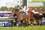 Lees has great chance to win first Newcastle Cup Lees has great chance to win first Newcastle Cup