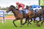 Rosehill rated Dead 5 for Golden Rose Stakes Day