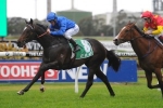 Cox Plate Odds Continue to Firm for Sweynesse
