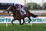 Prince Cheri Returns Favourite in Hawkesbury Gold Cup