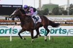 Prince Cheri To Face Acid Test In Kingston Town Stakes Prince Cheri To Face Acid Test In Kingston Town Stakes