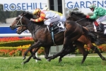 Stamina A Chance For Toorak Handicap Stamina A Chance For Toorak Handicap