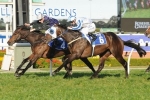 Moody rates his pair top chances in Golden Rose