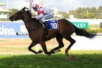 Waterhouse Stars To Trial on Friday Waterhouse Stars To Trial on Friday