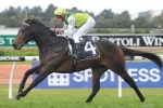 Proisir To Miss Melbourne Festival Of Racing