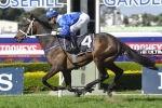 McCreery best wet tracker of Waller’s 3 Doomben Cup runners