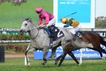 Catkins Upstages Bounding In Sheraco Stakes Catkins Upstages Bounding In Sheraco Stakes