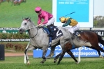 Catkins Headlines Golden Pendant Field