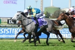 Silverball Could Run In Epsom Handicap Silverball Could Run In Epsom Handicap