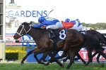 Winx A Dominant Favourite In Epsom Handicap Betting