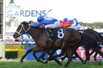 Sons Of John to Take Benefit from Tramway Stakes Sons Of John to Take Benefit from Tramway Stakes