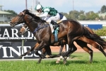 Sir Rupert Clarke Stakes Likely For Cluster After Theo Marks Stakes Win