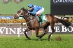 Chipping Norton Stakes 2015: Three Winning Chances For Waller Chipping Norton Stakes 2015: Three Winning Chances For Waller