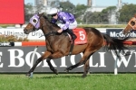 Driefontein Will Bring A-Game in Expressway Stakes