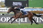 Ecuador Drops Back In Distance For Epsom Handicap